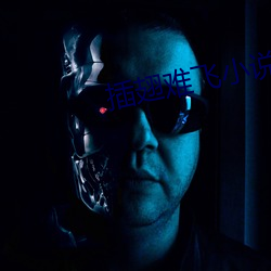 插翅難飛小說
