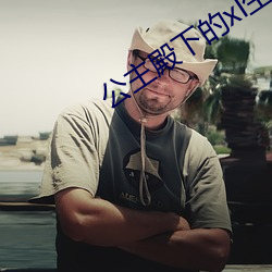 公主殿下的xl生活
