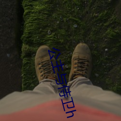 公主与侍卫h