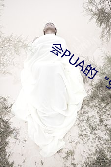 会PUA的“91探花大神”