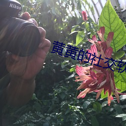 金年会(中国)官方网站