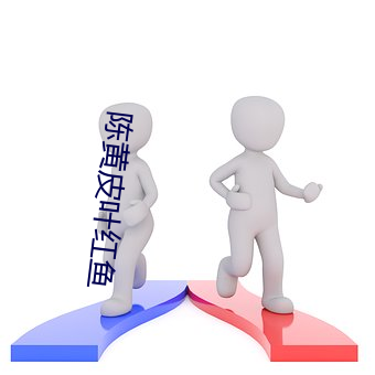 金年会(中国)官方网站