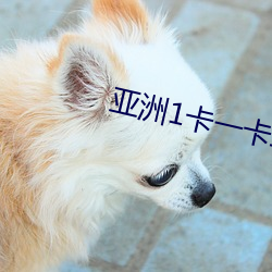 亚洲1卡一卡二卡三新区202