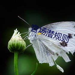 BG大游(中国)唯一官方网站