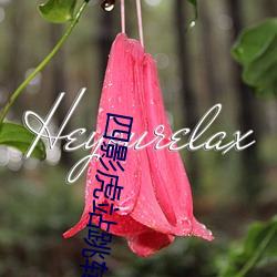 四影虎站跳转
