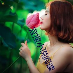 宜搜小說閱讀