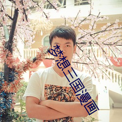 梦想三国漫画 （意前笔後）