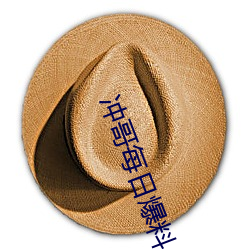 冲哥每日爆料