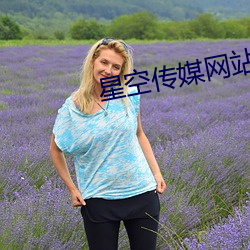 星空传媒网站入口