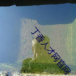 丁(dīng)香人才(cái)网官(guān)网