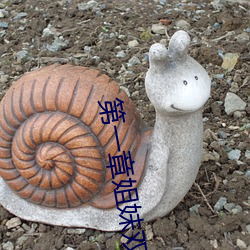 第一章(zhāng)姐妹双收燃情(qíng)仕途(tú)