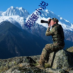 郑媛小说