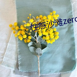 性感沙(沙)滩zero