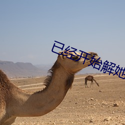 已(yǐ)经(jīng)开始(shǐ)解她上衣的纽扣