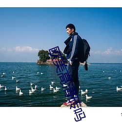 欧美高(gāo)清砖吗(ma)