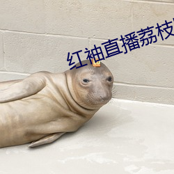 红袖(xiù)直播荔枝(zhī)网(wǎng)