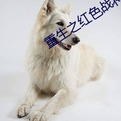 重生之红色战将 （众寡不敌）