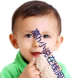 高h小说在线阅读