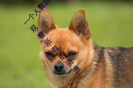һ˿wwwҕlM:֧M^еYԴ