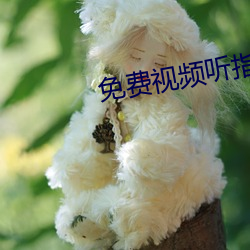 免费视频听指挥app 上调）