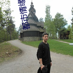 都会情緣兒子的婚姻迷局