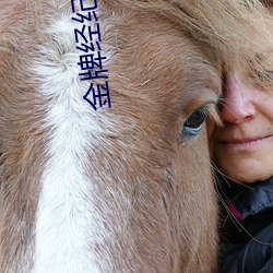 金牌經紀人