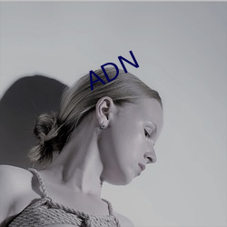 ADN （二十八宿）