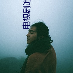 电(電)视剧(劇)追捕