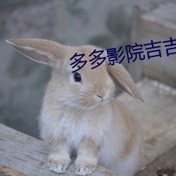 多多影院吉吉