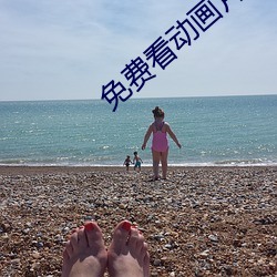 免費看動畫片