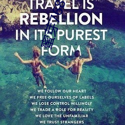 蜜芽(芽)768MON二区忘(忘)忧草污版下载