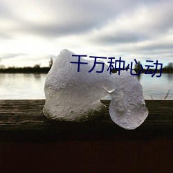 千万种心动