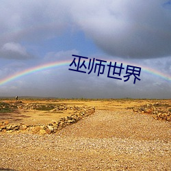 巫师世界