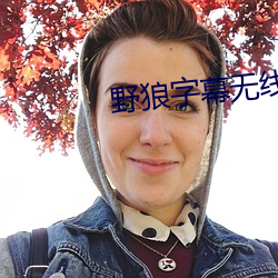 野狼字幕无线码中文字 ��解剑拜仇）