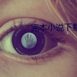 完本小说下载