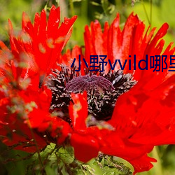 918博天堂·(中国)手机版客户端