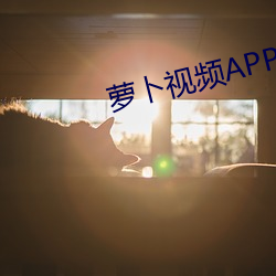 918博天堂·(中国)手机版客户端