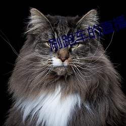 刷跑车的直播app
