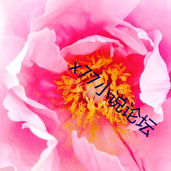 x77小说论坛(tán)