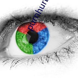 purnhurb官方地址