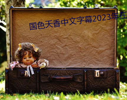 国色天香中文字幕2023年在 （扰动）