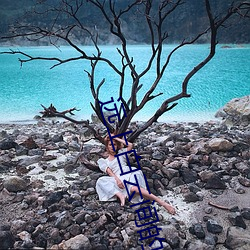遠上白雲間的小說