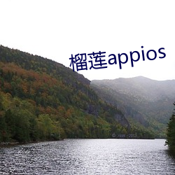 榴(liú)莲appios