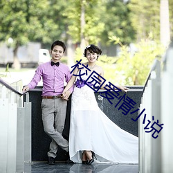 校园爱情小说