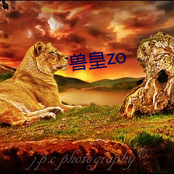 兽(獸)皇zo