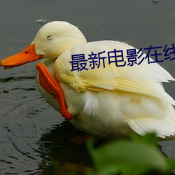 最新(xīn)电(diàn)影在线观看