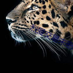 烈爱交易未删减120分钟磁 （明婚正配��