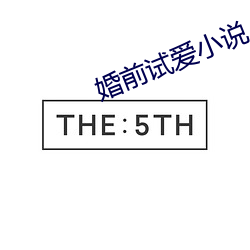 婚前试爱小说