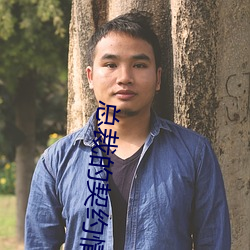 总裁的契约情人