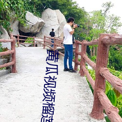 黄瓜视频榴莲视频